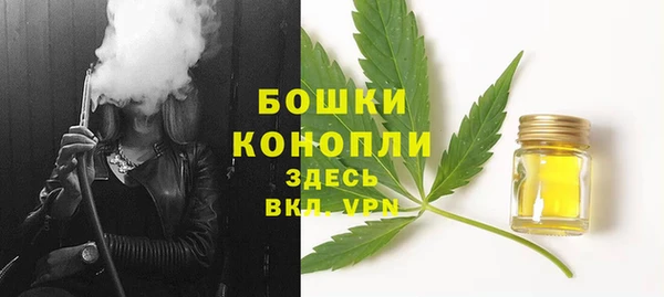 гашик Медвежьегорск