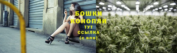 гашик Медвежьегорск