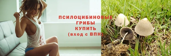 apvp Аркадак