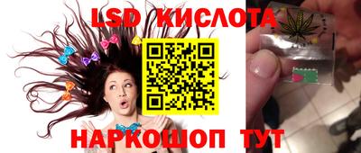 стаф Славгород