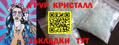 стаф Славгород