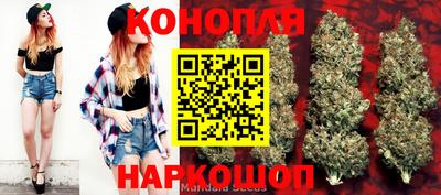 стаф Славгород